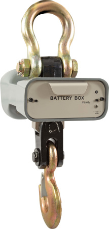 Весы CAS 5 THA(Caston 1) купить по низкой цене | МАКСПРОФИТ